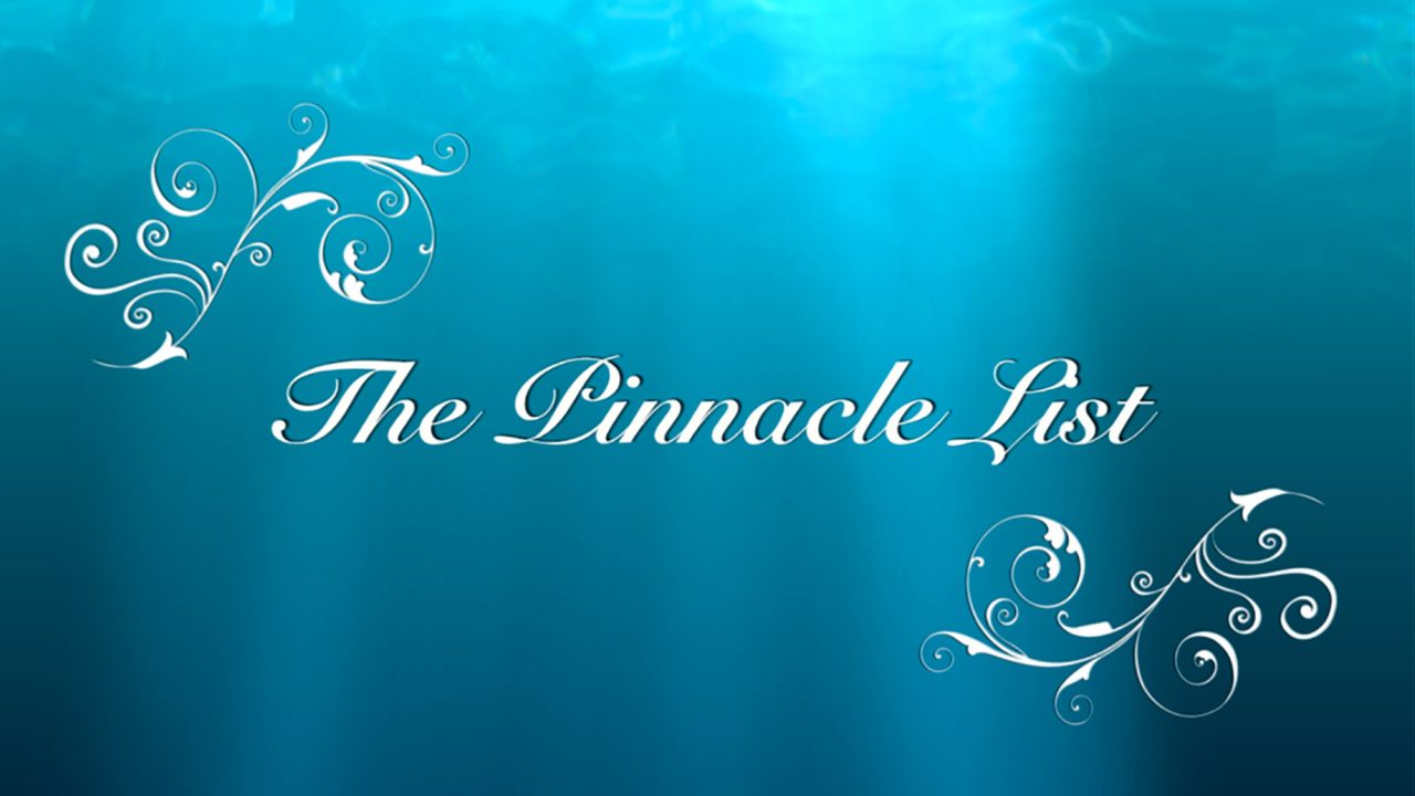The Pinnacle List - 2011