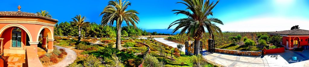 Castello della Costa d’Oro - Exotic Garden Dr, Cambria, CA, USA