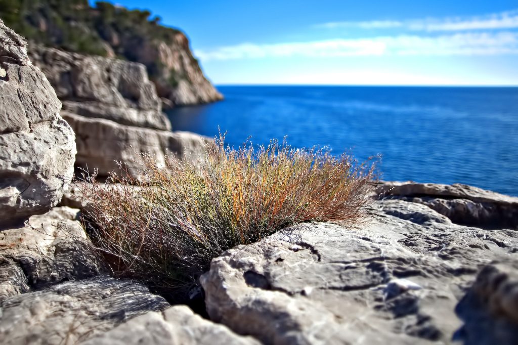 Villa Marmacen II - Cala Marmacen, Port d'Andratx, Mallorca, Balearic Islands, Spain