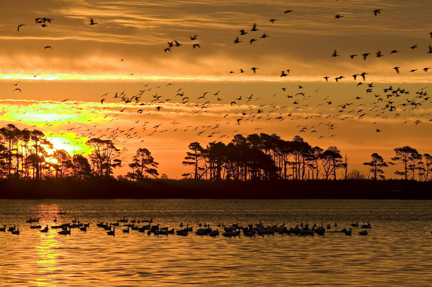 Chincoteague Island - Accomack County, Virginia, United States