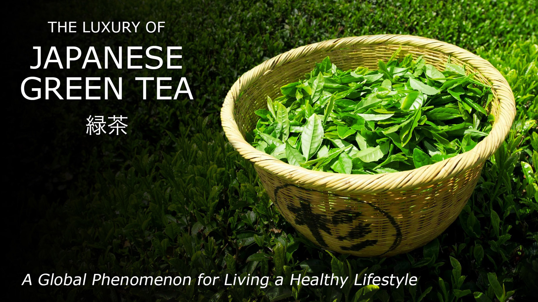 The Luxury of Japanese Green Tea - A Global Phenomenon for Living a Healthy Lifestyle