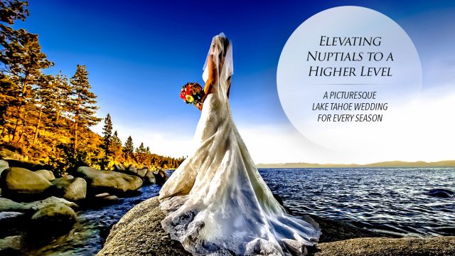 Elevating Nuptials to a Higher Level - A Picturesque Lake Tahoe Wedding for Every Season