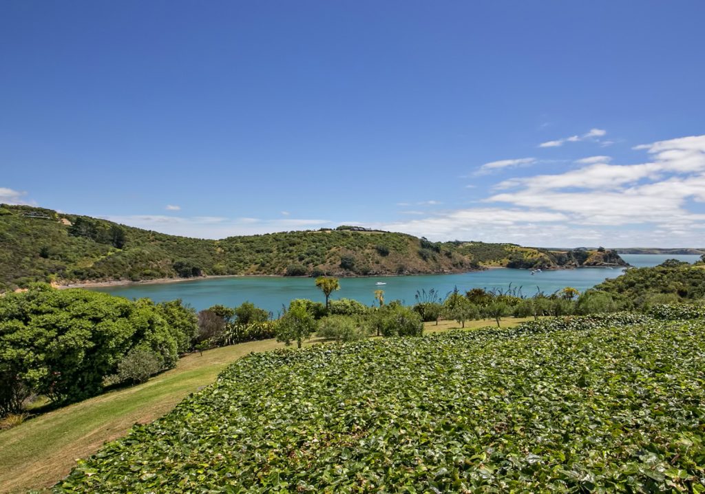 Korora Luxury Estate Oneroa, Waiheke Island, New Zealand The