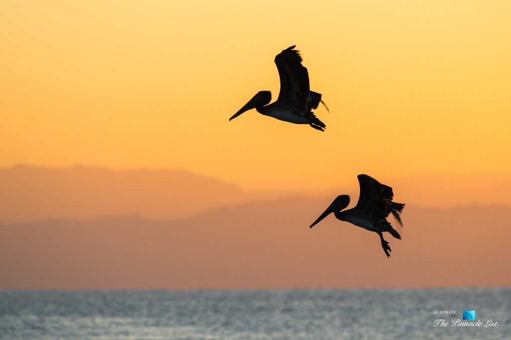 Tambor Tropical Beach Resort - Tambor, Puntarenas, Costa Rica - Tropical Ocean Sunset Birds