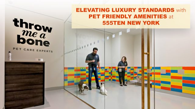 Elevating Luxury Standards with Pet Friendly Amenities at 555Ten New York