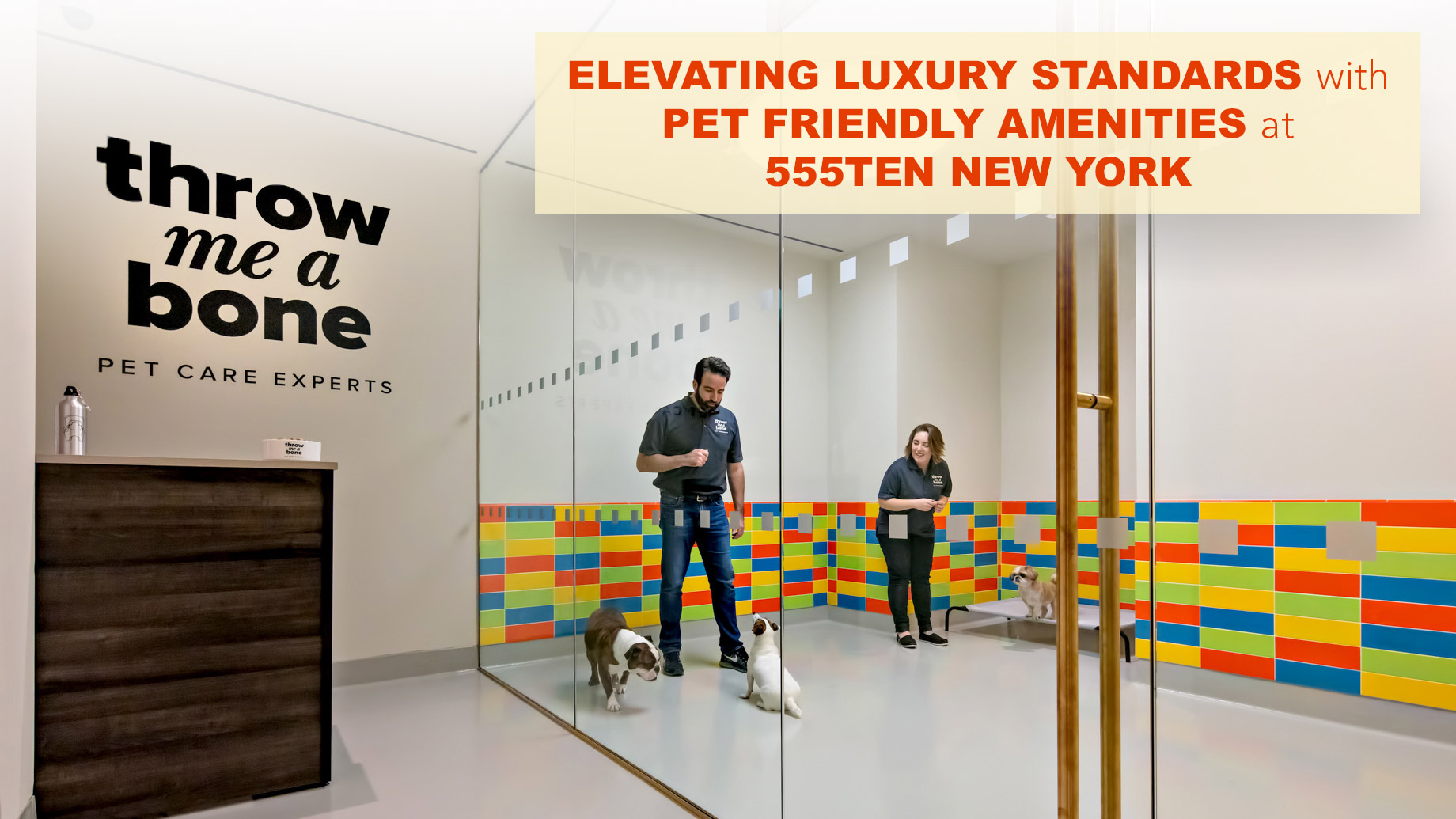 Elevating Luxury Standards with Pet Friendly Amenities at 555Ten New York