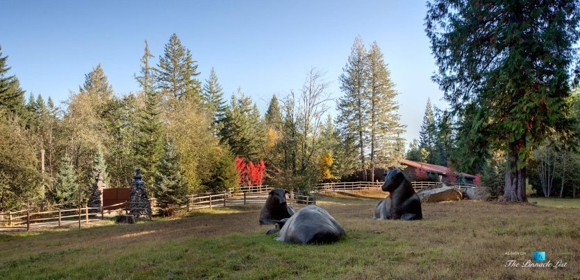 Outdoors and Outbuildings - Thunder Ranch - 7095 Bottle Bay Rd, Sagle, ID, USA