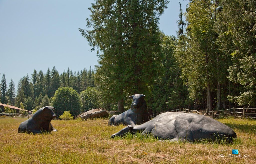 Outdoors and Outbuildings - Thunder Ranch - 7095 Bottle Bay Rd, Sagle, ID, USA