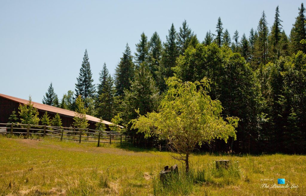 Outdoors and Outbuildings - Thunder Ranch - 7095 Bottle Bay Rd, Sagle, ID, USA