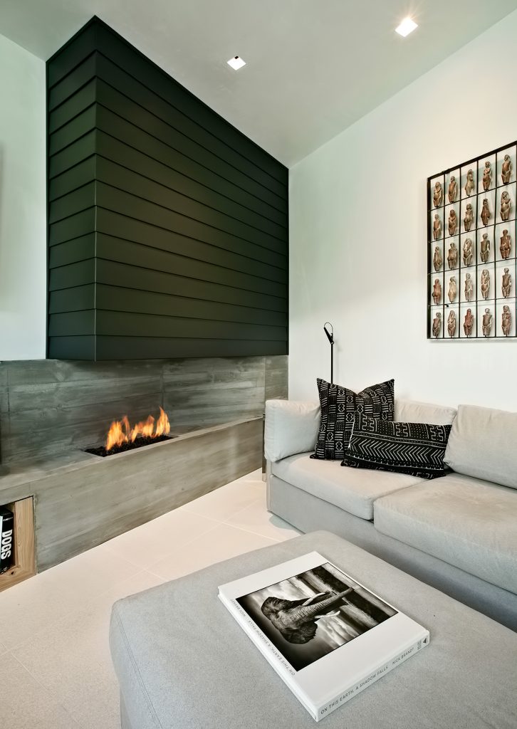 Zinc House Luxury Residence - Aspen, CO, USA