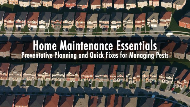 Home Maintenance Essentials - Preventative Planning and Quick Fixes for Managing Pests