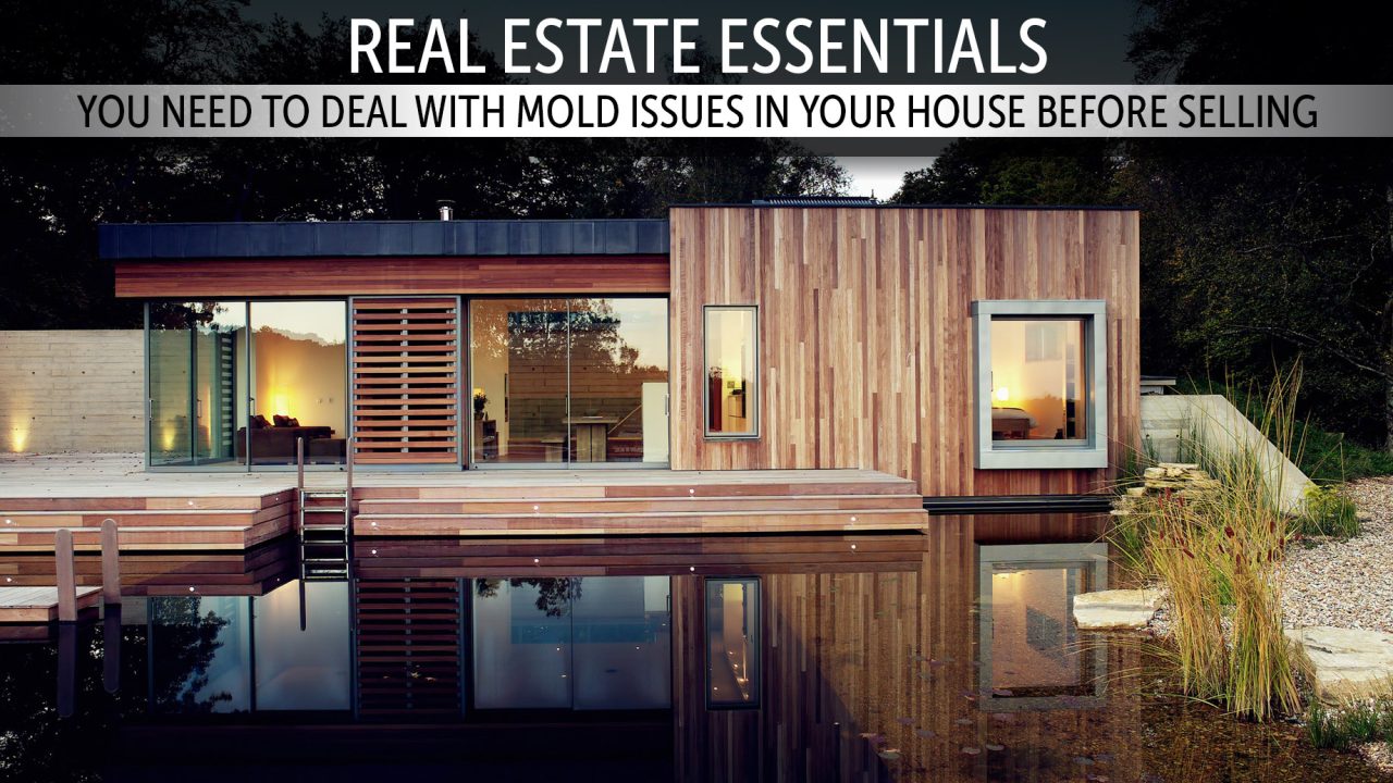 Real Estate Essentials You Need To Deal With Mold Issues In Your 