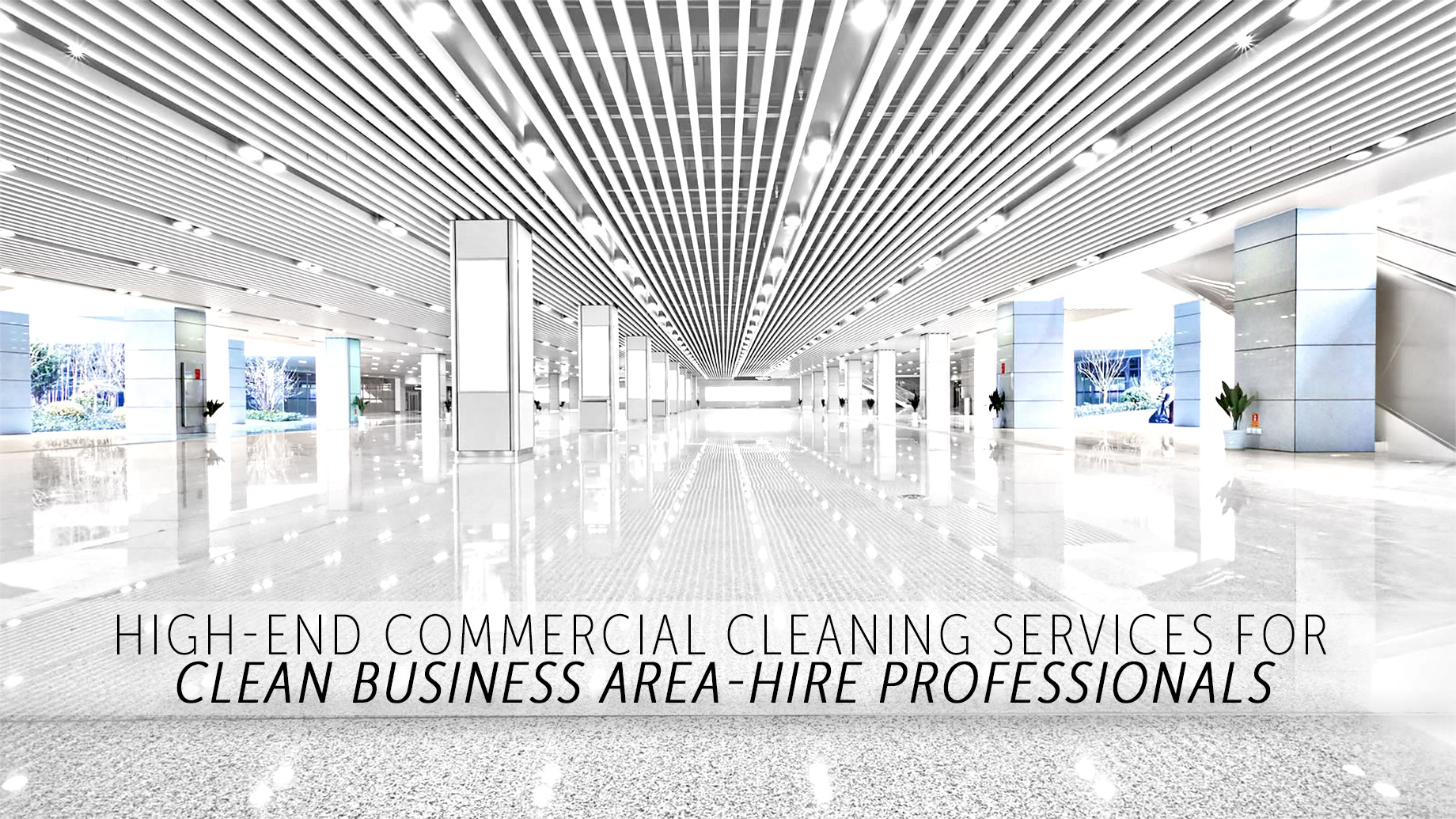 High-End Commercial Cleaning Services - For Clean Business Areas Hire Professionals