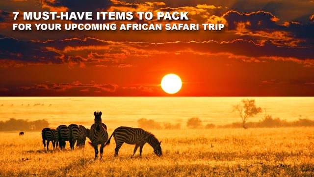 7 Must-Have Items to Pack for Your Upcoming African Safari Trip