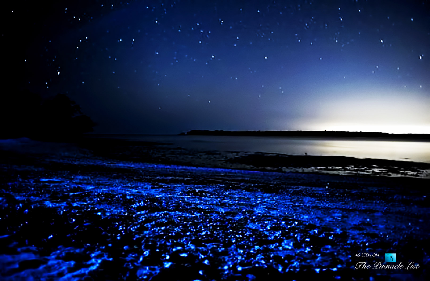 Vieques, Puerto Rico – An Exotic Caribbean Island Featuring the World’s Most Captivating Bioluminescent Bay