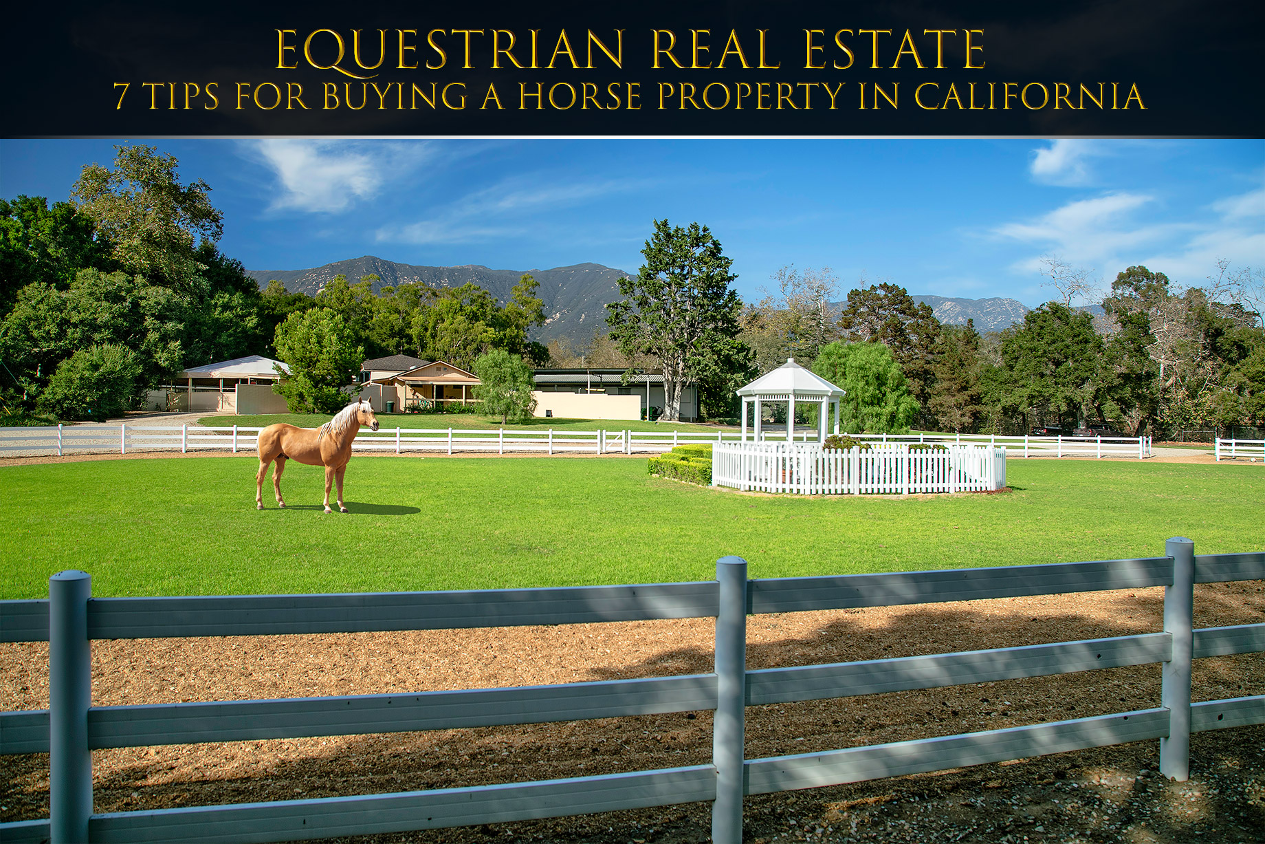 Equestrian Real Estate – 7 Tips for Buying A Horse Property In California