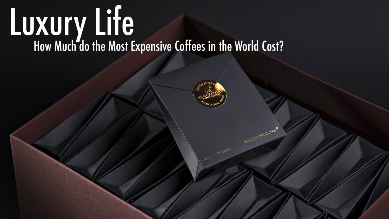 Luxury Life - How Much do the Most Expensive Coffees in the World Cost?