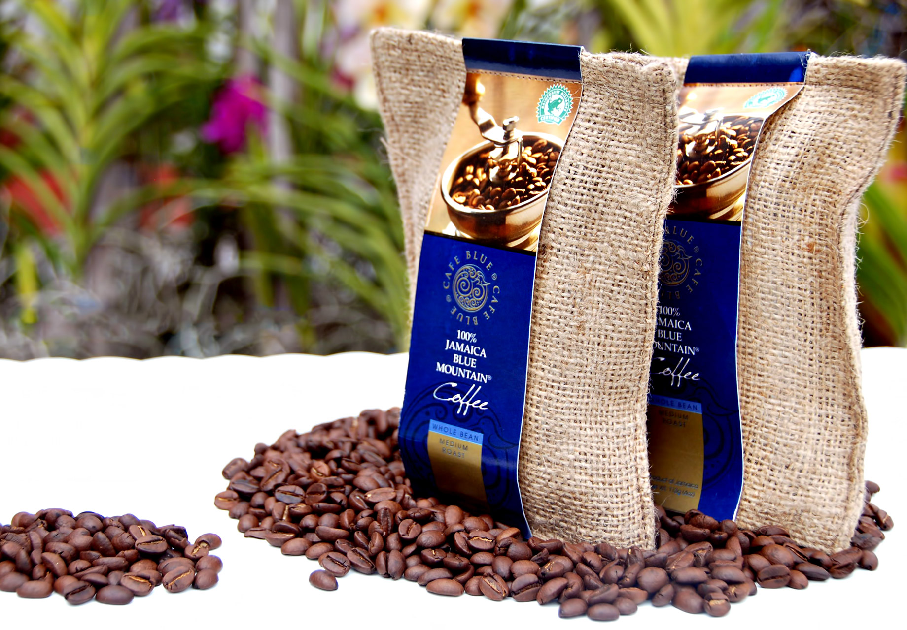 Jamaican Blue Mountain – Wallenford Estate, Jamaica – One of the Most Expensive Coffees in the World