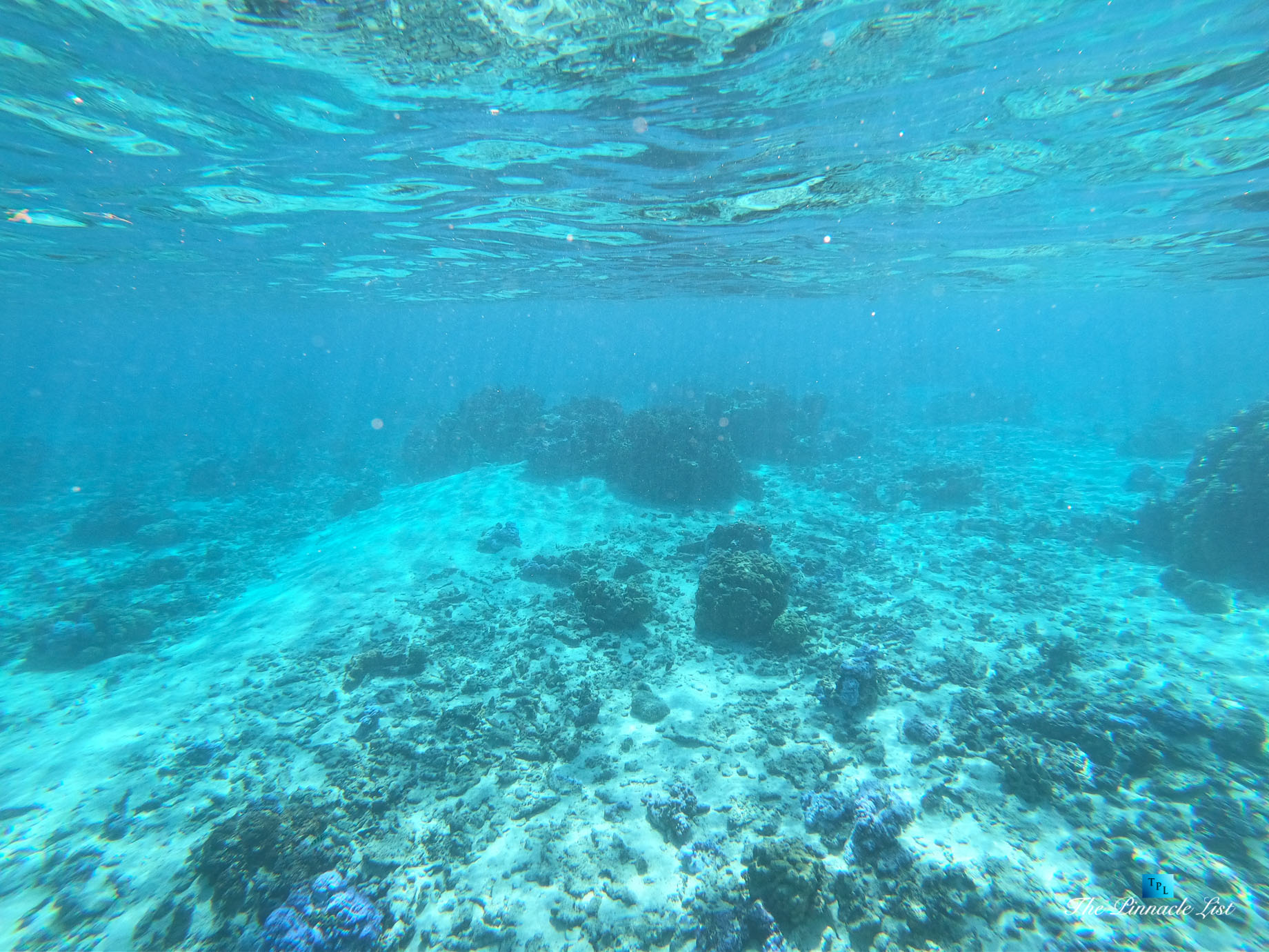 Motu Tane Private Island – Bora Bora, French Polynesia