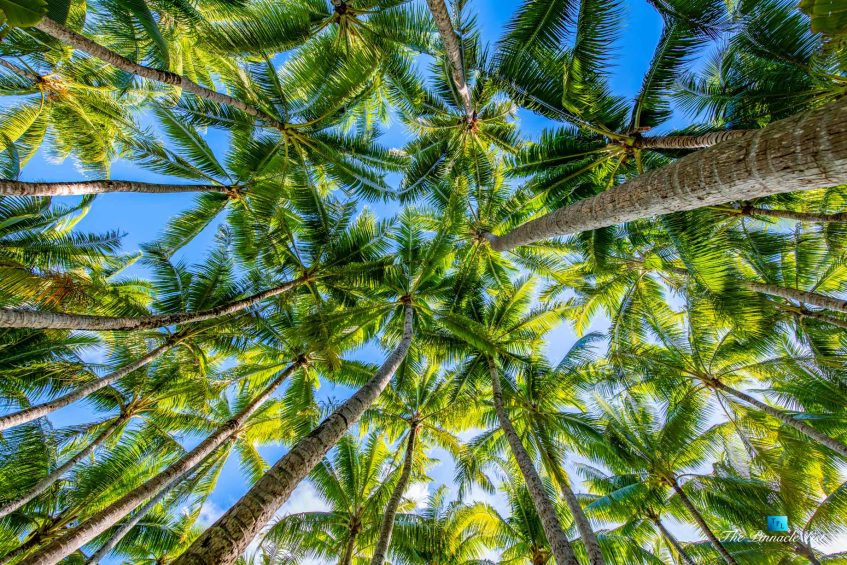 Motu Tane Private Island - Bora Bora, French Polynesia