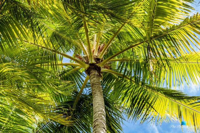 Motu Tane Private Island - Bora Bora, French Polynesia