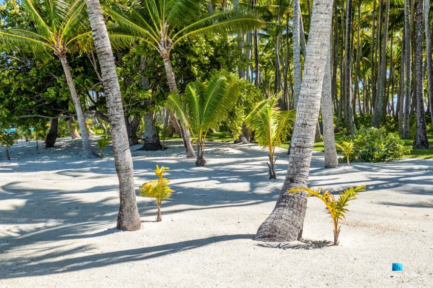 Motu Tane Private Island - Bora Bora, French Polynesia