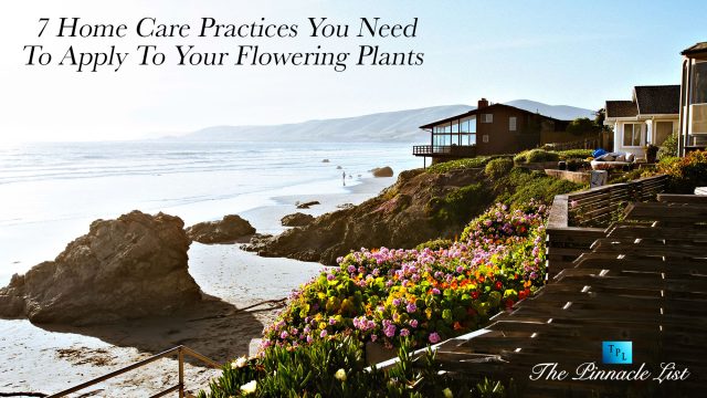 7 Home Care Practices You Need To Apply To Your Flowering Plants