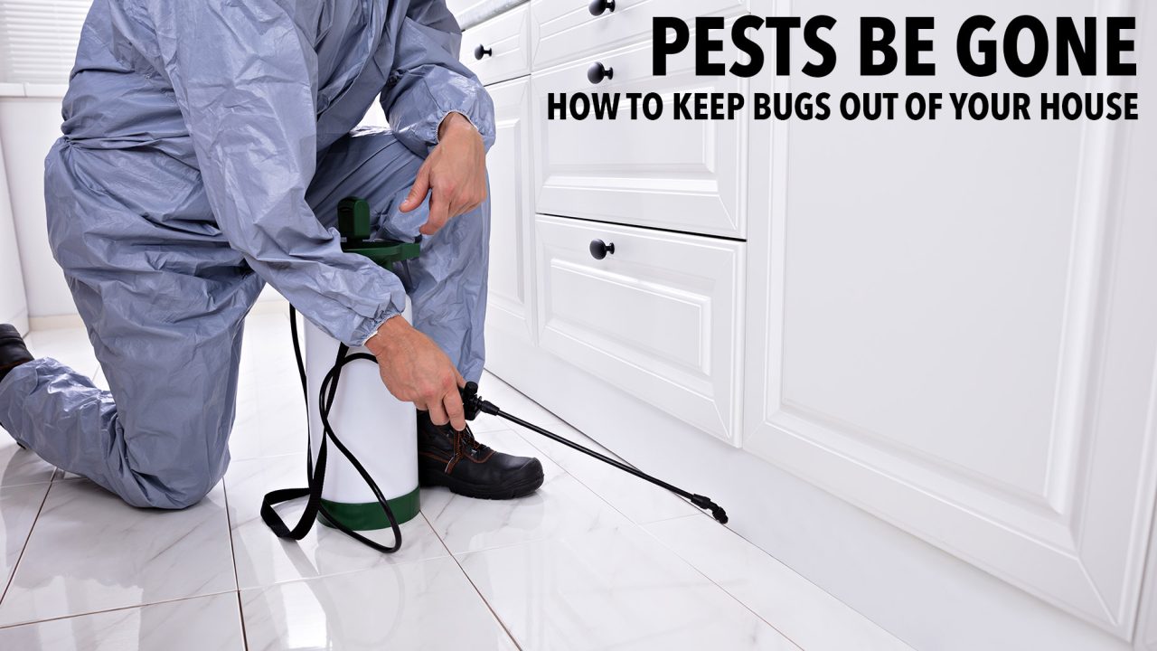 Pests Be Gone How to Keep Bugs Out of Your House The Pinnacle List