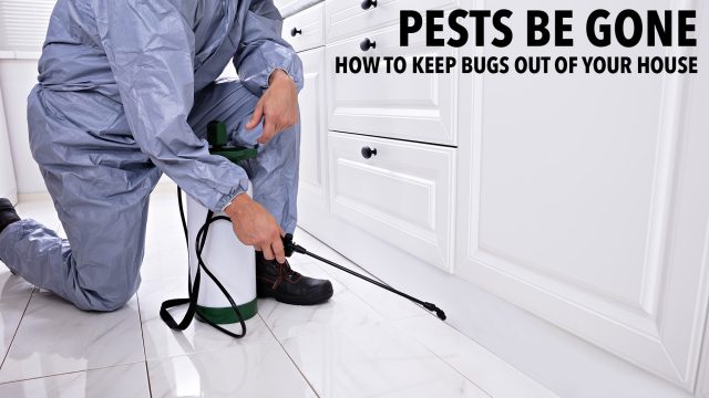 Pests Be Gone - How to Keep Bugs Out of Your House