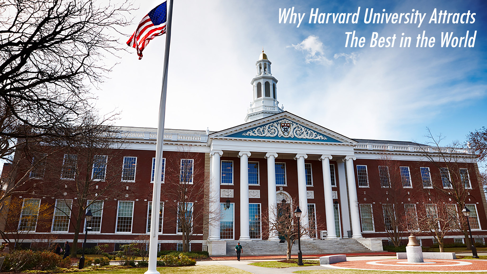Why Harvard University Attracts The Best in the World