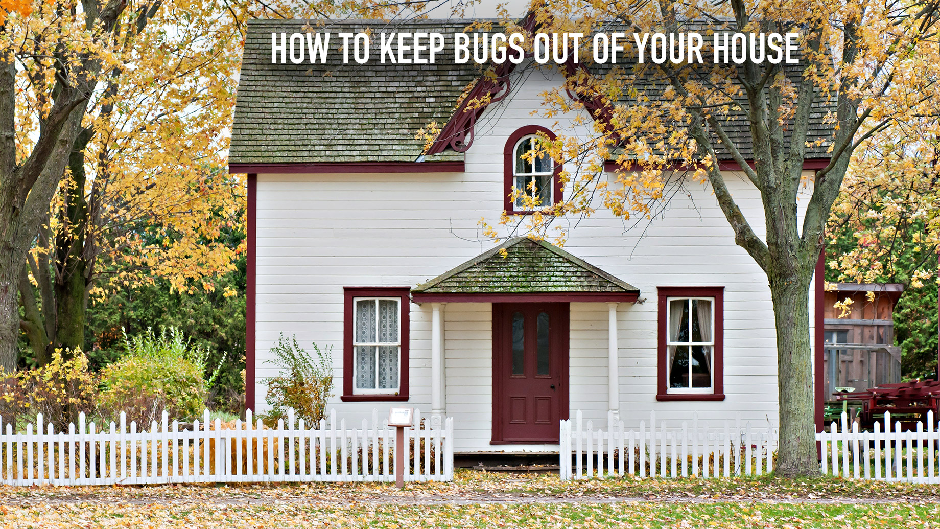 How to Keep Bugs Out of Your House