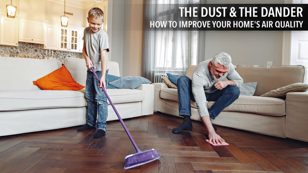 The Dust & The Dander How to Improve Your Home’s Air Quality The