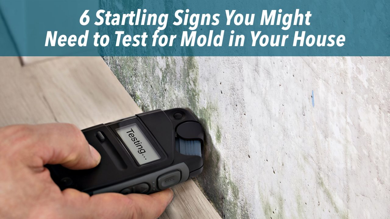 6 Startling Signs You Might Need to Test for Mold in Your House