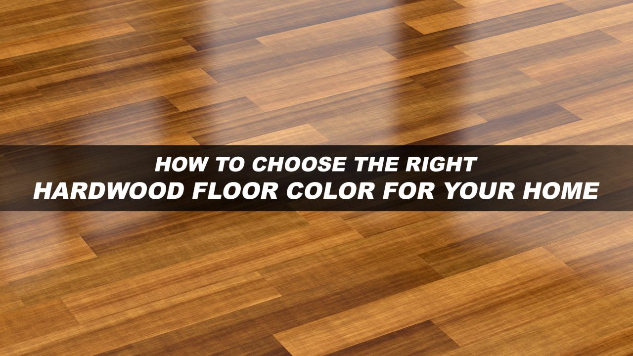 How to Choose the Right Hardwood Floor Color For Your Home – The ...