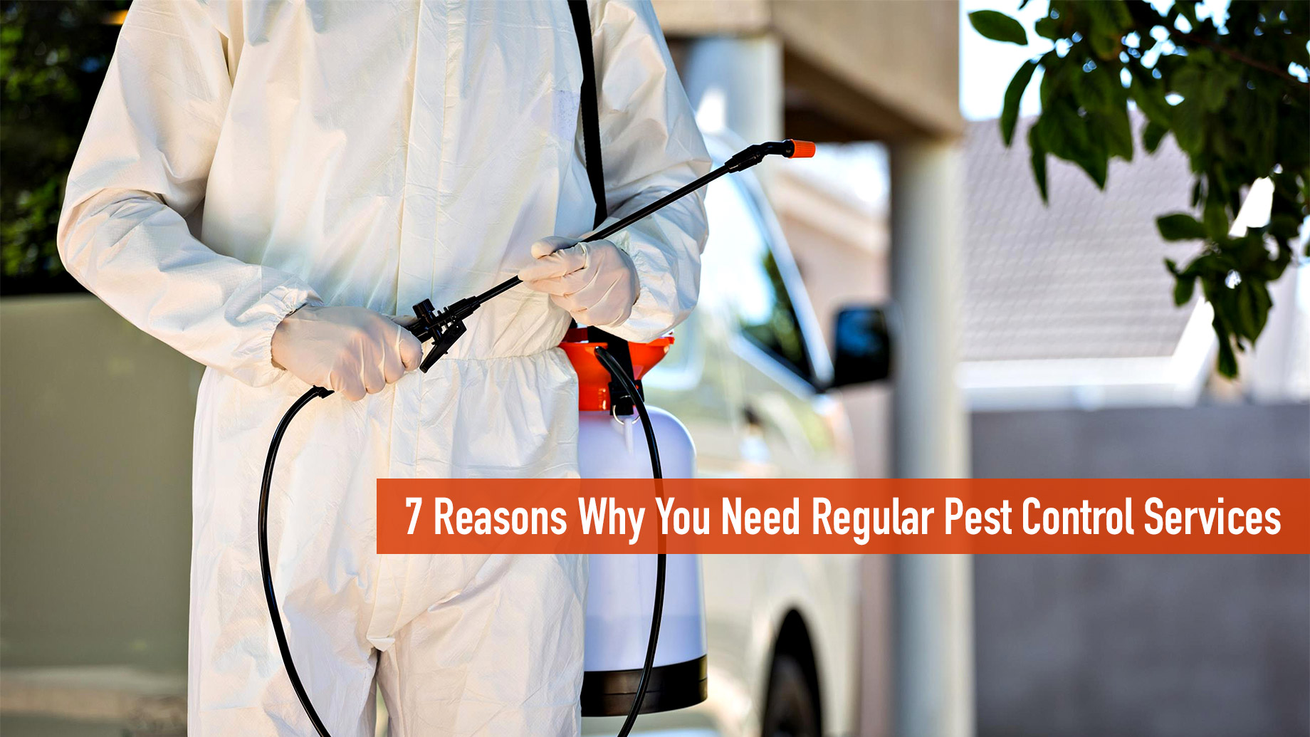 7 Reasons Why You Need Regular Pest Control Services