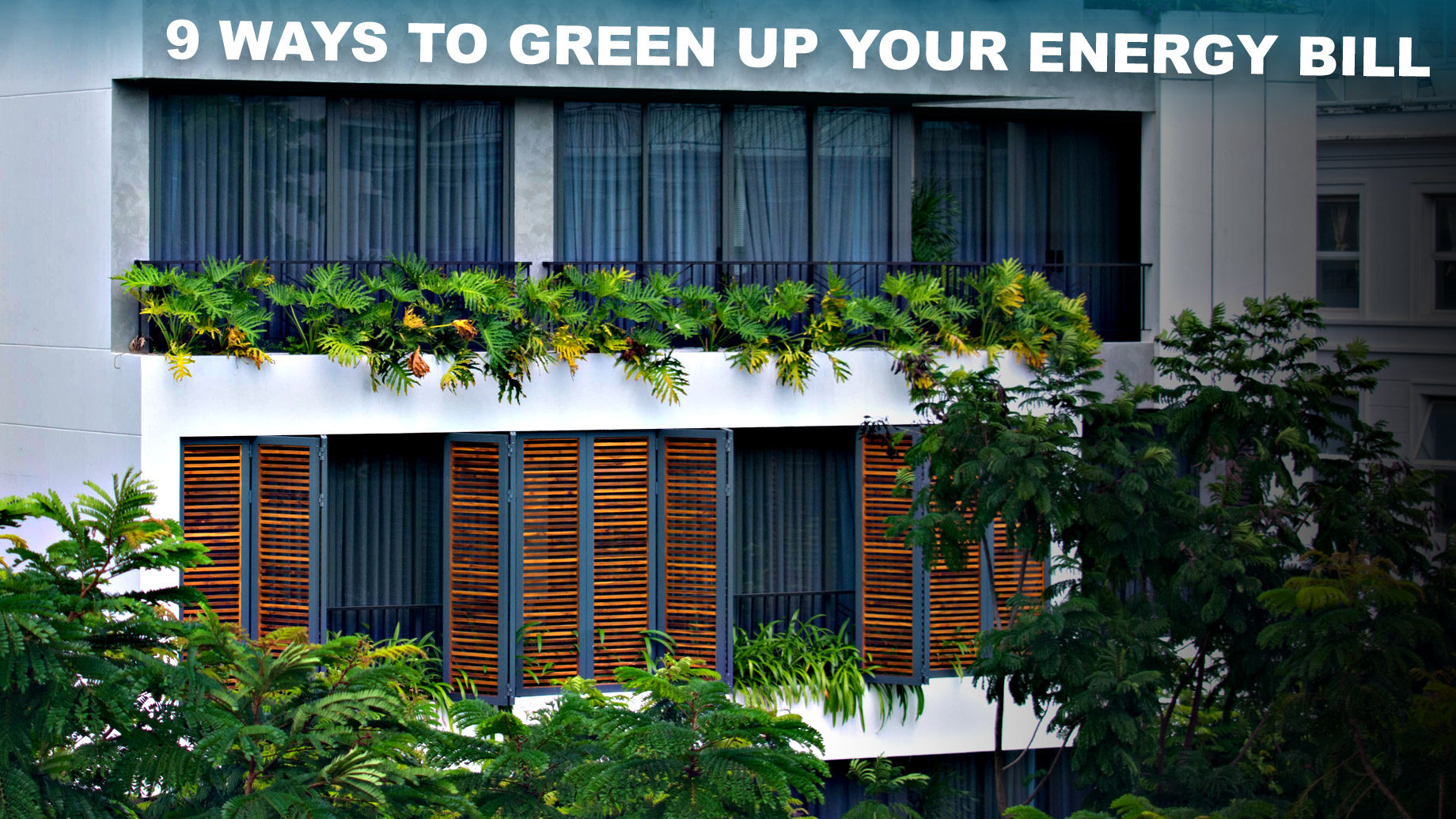 9 Ways to Green Up Your Energy Bill