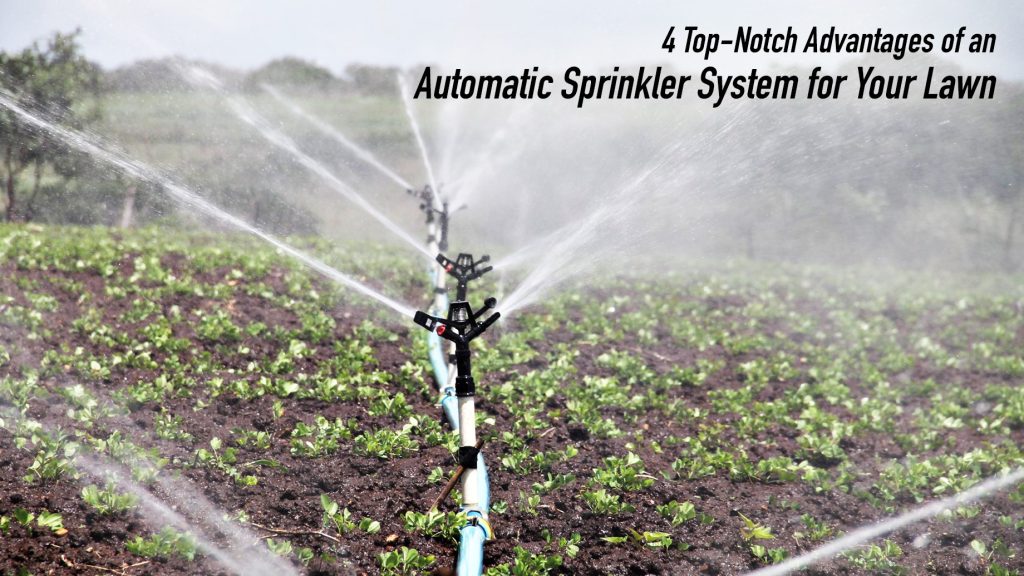 4 TopNotch Advantages of an Automatic Sprinkler System for Your Lawn