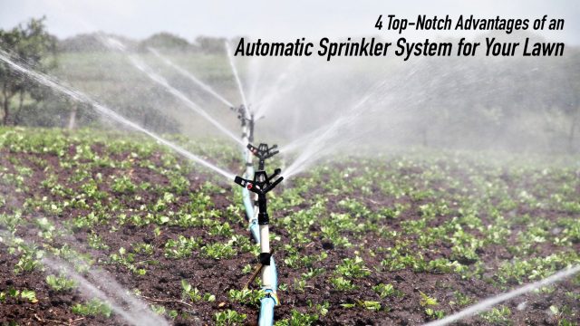 4 Top-Notch Advantages of an Automatic Sprinkler System for Your Lawn