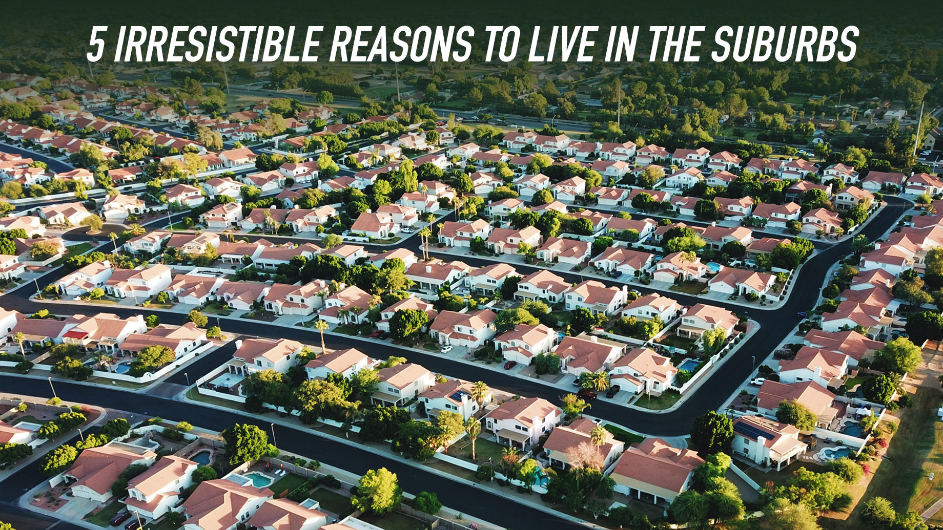 Bye Bye City Life - 5 Irresistible Reasons to Live in the Suburbs