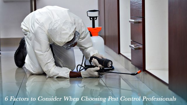 6 Factors to Consider When Choosing Pest Control Professionals