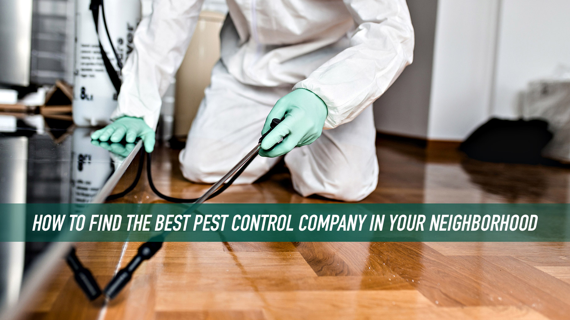 How to Find the Best Pest Control Company in Your Neighborhood