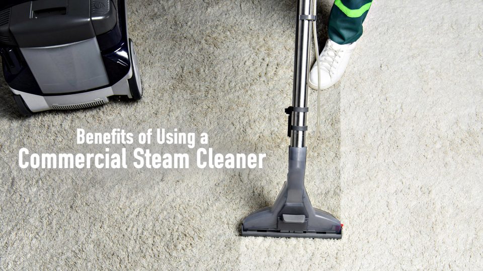 Benefits of Using a Commercial Steam Cleaner The Pinnacle List