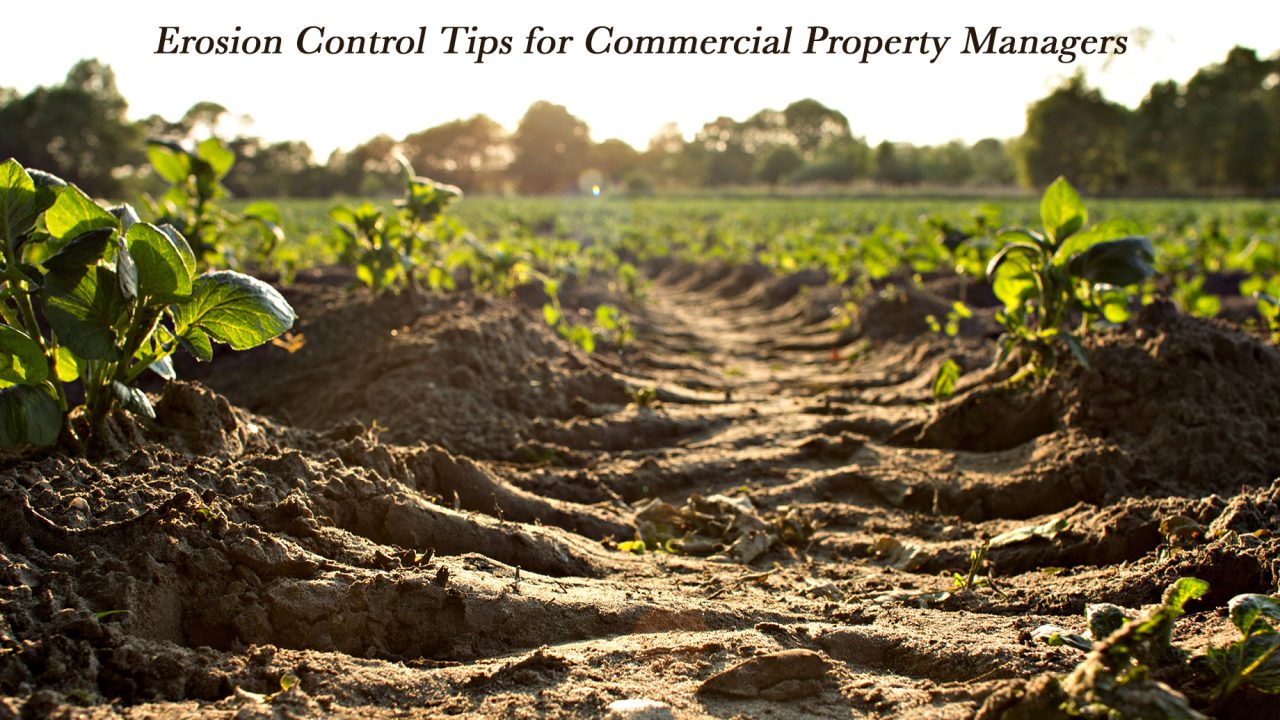 Erosion Control Tips for Commercial Property Managers