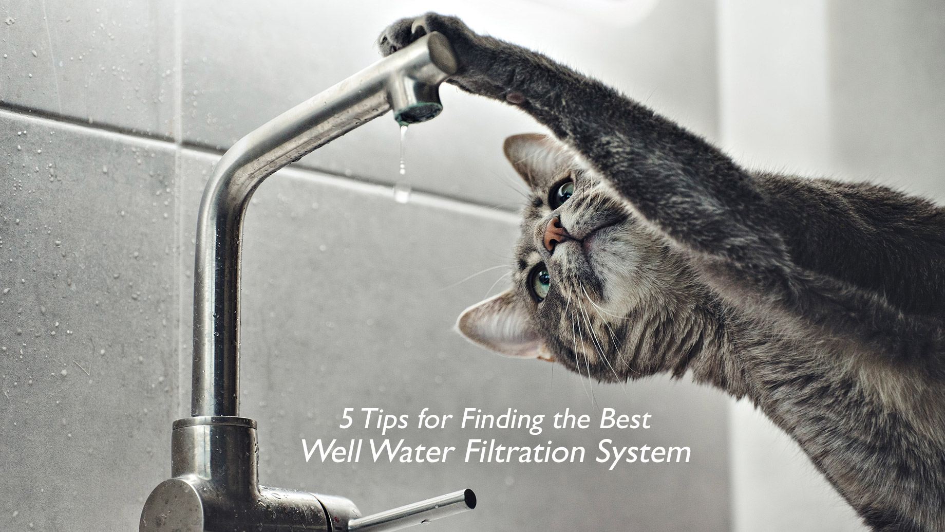5 Tips for Finding the Best Well Water Filtration System