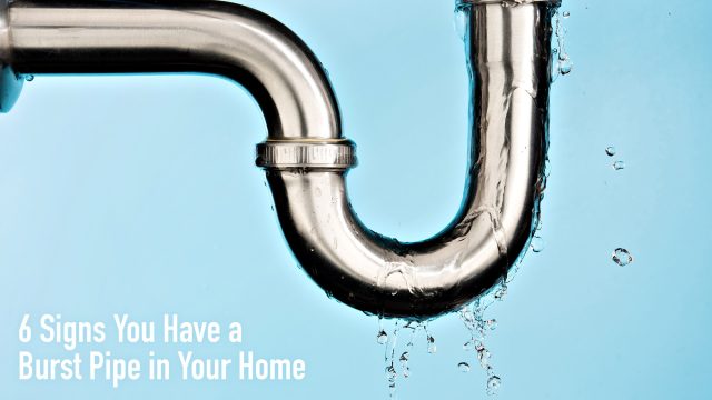 6 Signs You Have a Burst Pipe in Your Home