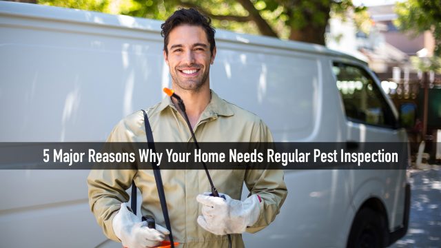 5 Major Reasons Why Your Home Needs Regular Pest Inspection