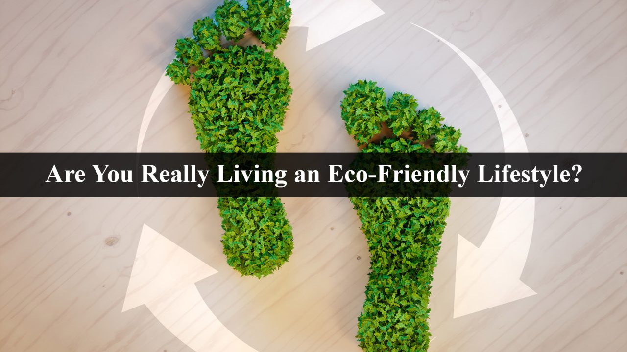 Are You Really Living an Eco-Friendly Lifestyle?