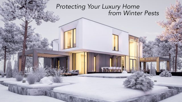 Protecting Your Luxury Home from Winter Pests