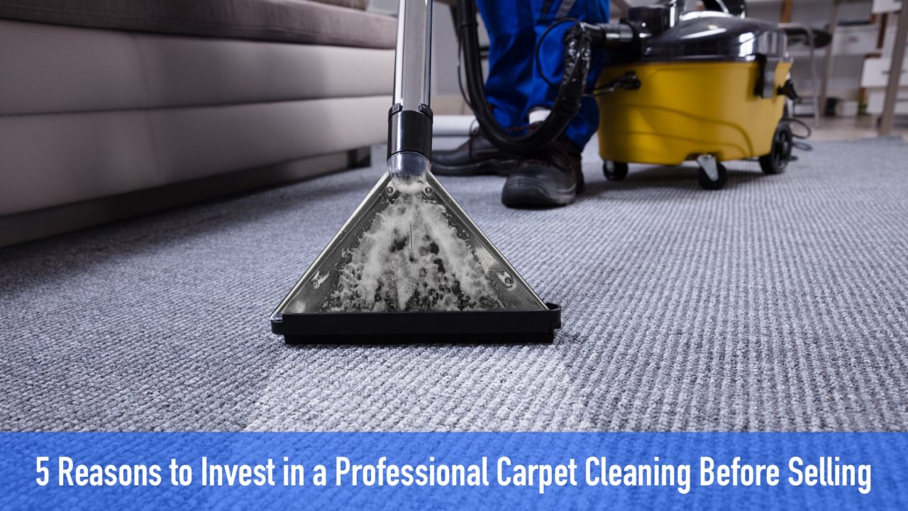 5 Reasons to Invest in a Professional Carpet Cleaning Before Selling