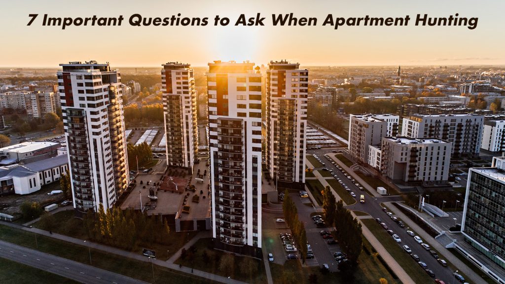 7 Important Questions to Ask When Apartment Hunting The Pinnacle List